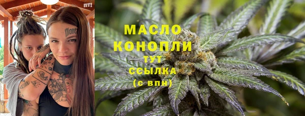 молекула духа Волосово