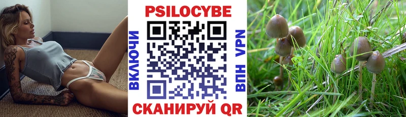 Псилоцибиновые грибы Cubensis  что такое наркотик  Каргат 